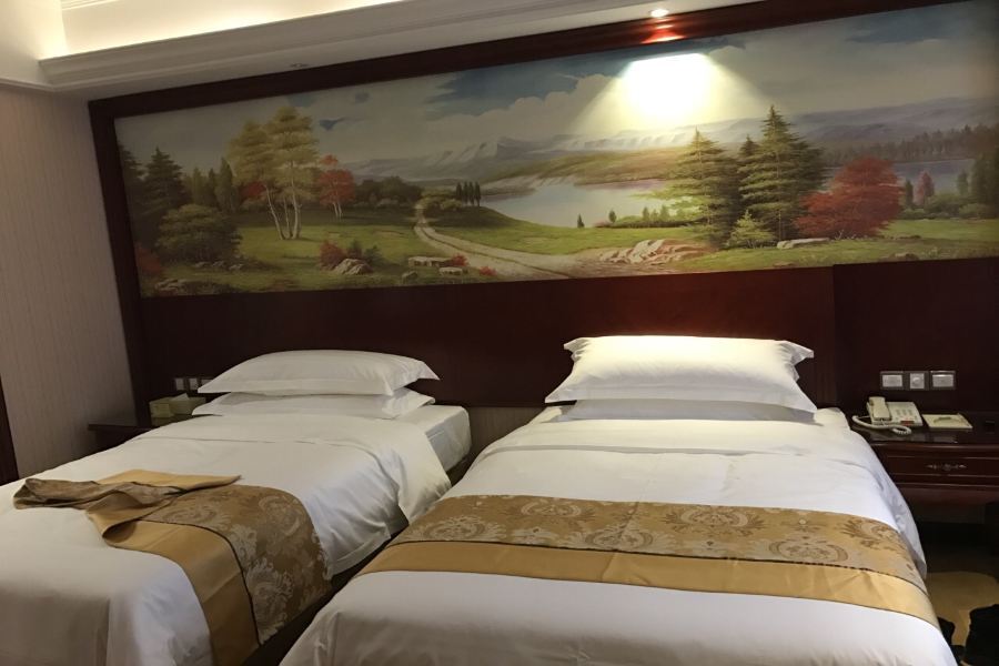 Vienna International 3* Thượng Hải